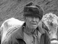 Gabriel Flueraru – Teleorman